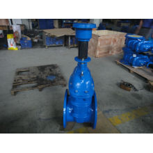 resilient gate valve with extension spindle